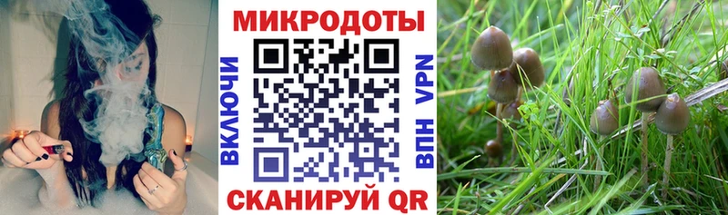 Галлюциногенные грибы Cubensis  мориарти как зайти  Аргун  наркошоп 